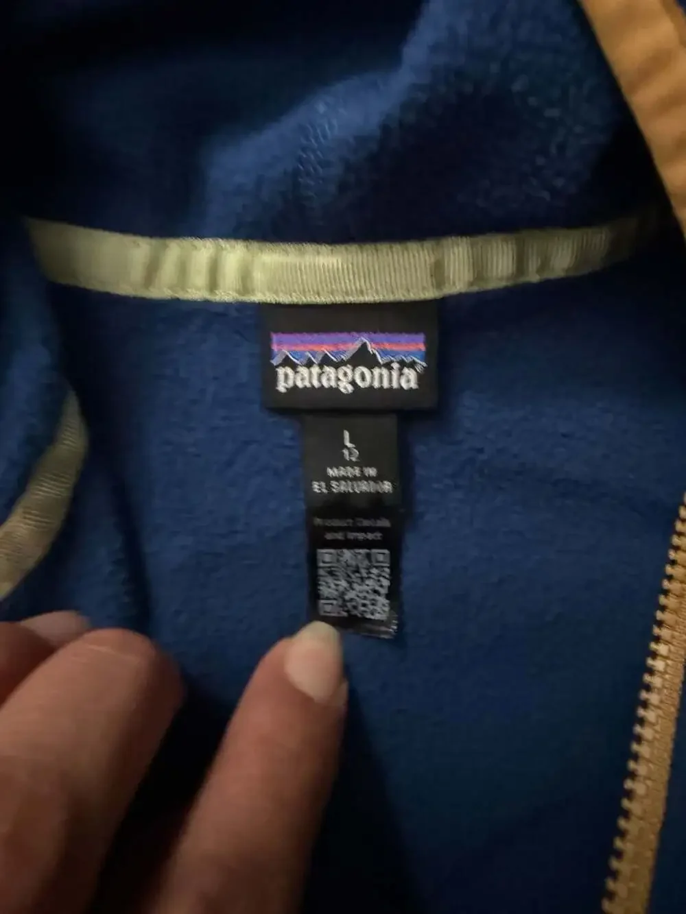 Patagonia Kids' Micro D Snap-T Fleece Hooded Jacket